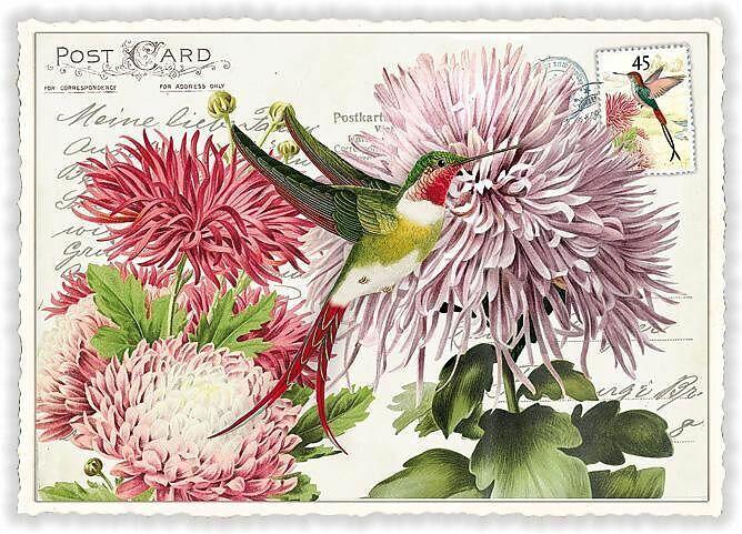 Produktbild Edition Tausendschön Postkarte / Kolibri mit Blumen / blanko