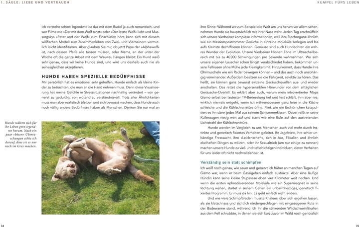 Image du produit Das Wunder der Bindung (Allemand, Jochen Bendel, 2019)