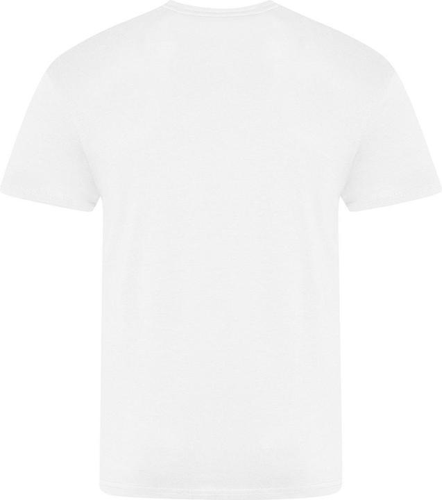 Actual product image Awdis The 100 Tshirt (4XL)