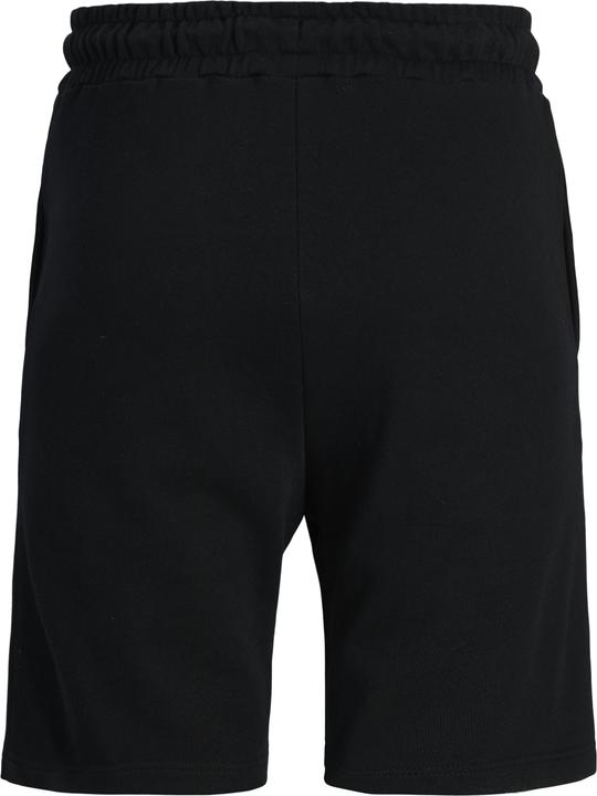 Jack & Jones Plus Size Regular Fit Regular Fit Shorts Regular Fit Shorts (42)