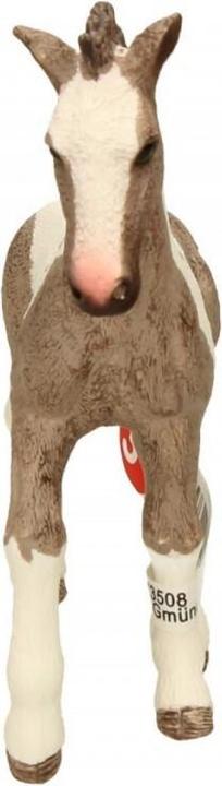 Actual product image Schleich Tinker foal