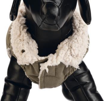 Produktbild Designed by Lotte Hundemantel Philos (XXXL, Hundemantel)