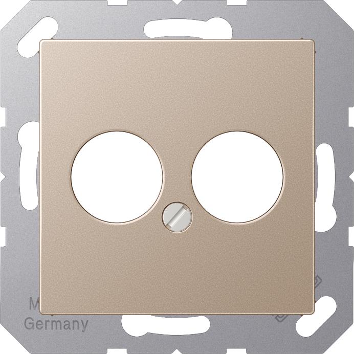 Actual product image JUNG Central plate LS 2f A champ glz A562-2CH
