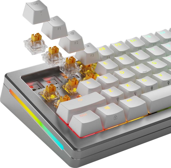 Actual product image Glorious HE Switches (36pcs) - Panda - Lubed - (Tactile) 45g