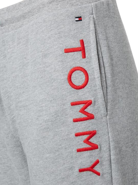 Image du produit Tommy Hilfiger Track Pant (XS)