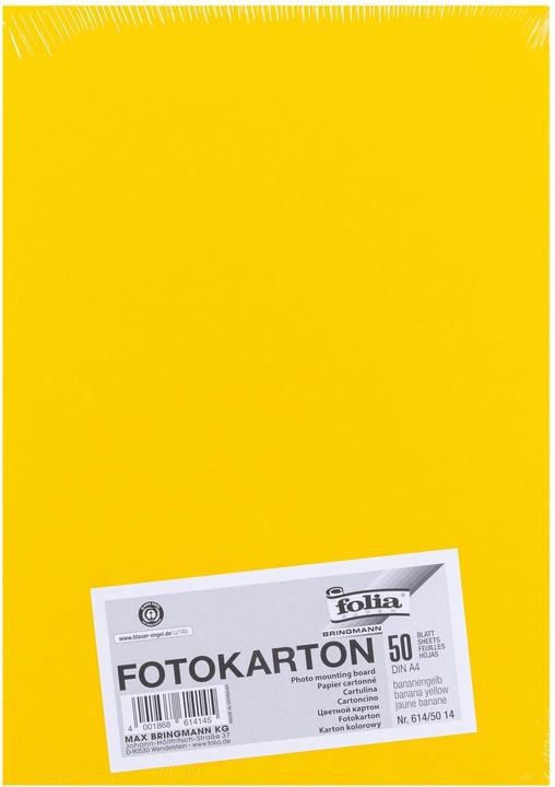 Folia Fotokarton farbig Format A4 (300 g/m², 1 x)
