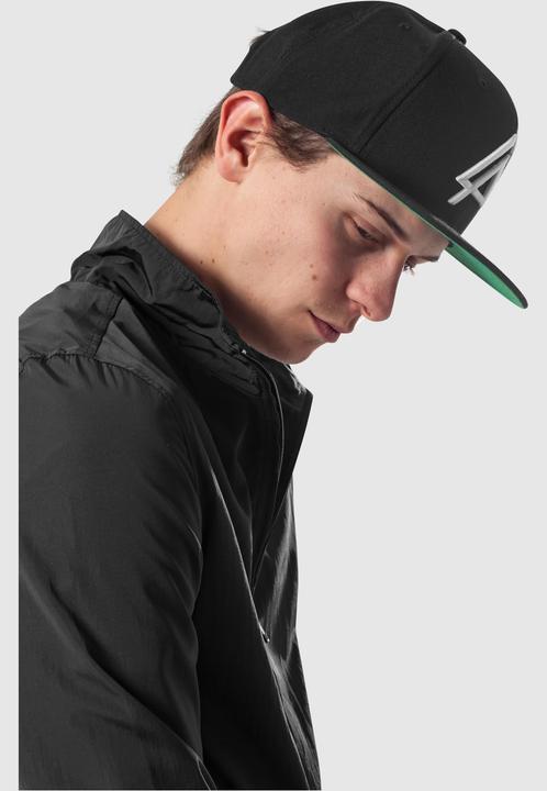Actual product image Mister Tee Linkin Park Logo Snapback (One size)