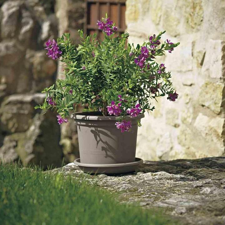 Productafbeelding Euro3plast Plantenbak (55 cm)