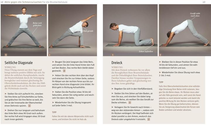 Actual product image Rücken-Akut-Training (German, Ingo Froböse, 2015)