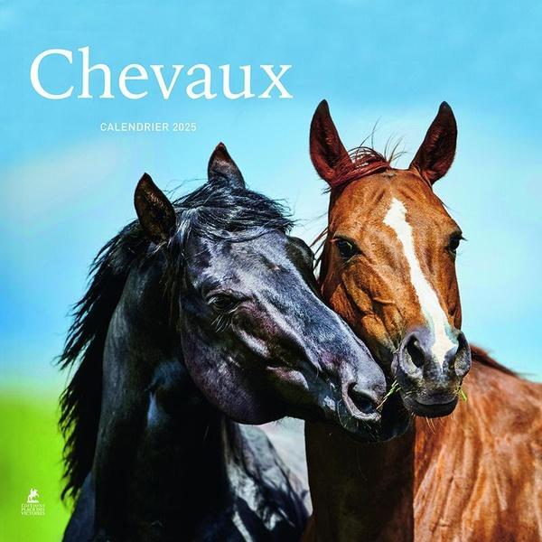 Image du produit Chevaux : calendrier 2025 (Couverture rigide, Français)
