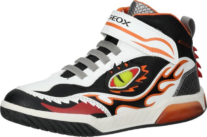 Geox Sneaker (25)