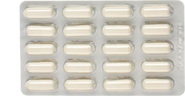 Actual product image Alpinamed Glucosamine Chondroitin (120 Piece, Capsules, 120 g)