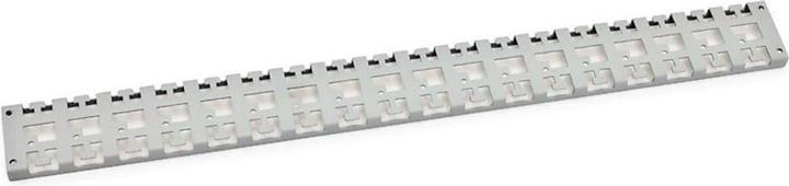 Image du produit Triton RAB-VP-D50-X1 - Support de gestion des câbles pour les armoires RMA, RZA, RDA, RTA, RYA, profondeur