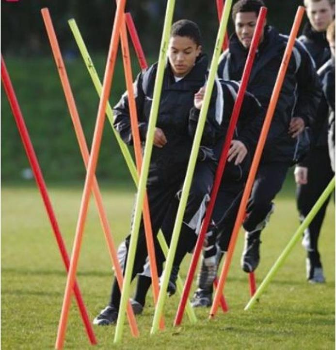 Actual product image Precision Slalom Poles