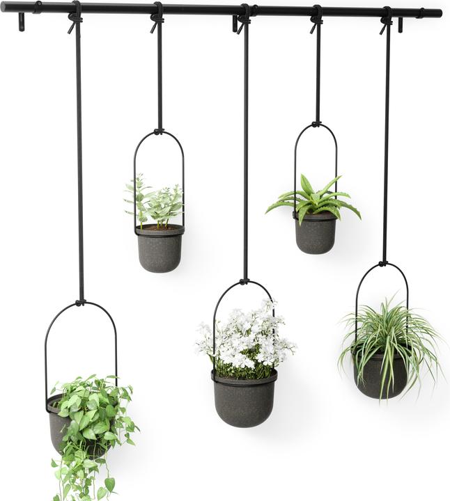 Image du produit Umbra Triflora (137 cm)