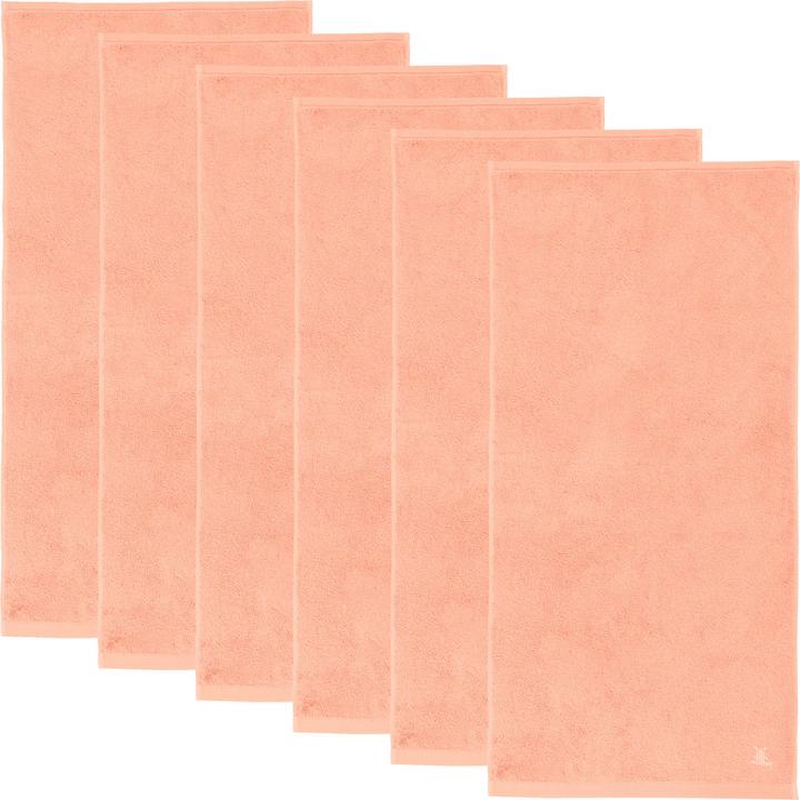 Apricot