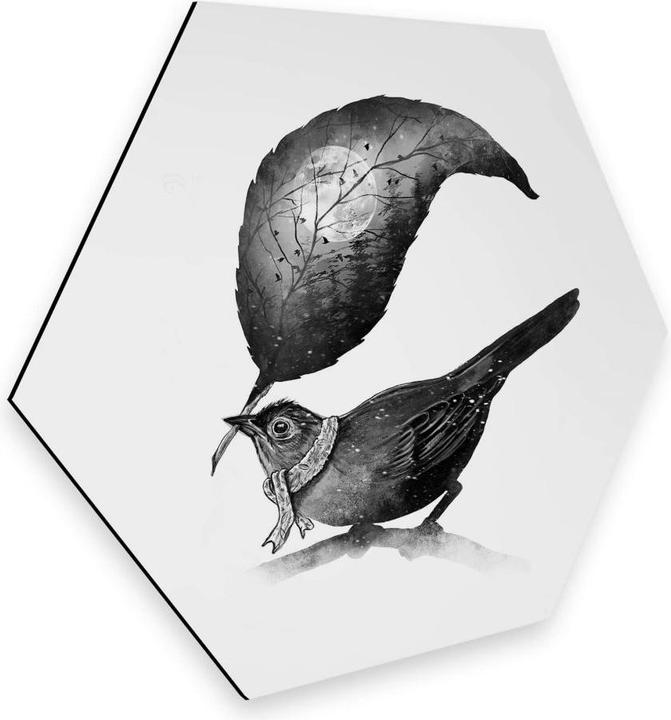 Image du produit Trenddeko The Messenger (75 x 65 cm)