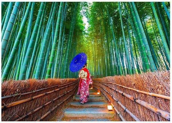 Image du produit Enjoy Puzzle ENJOY-1293 - Femme asiatique dans la forêt de bambous, puzzle, 1000 pièces (1000 pièces)
