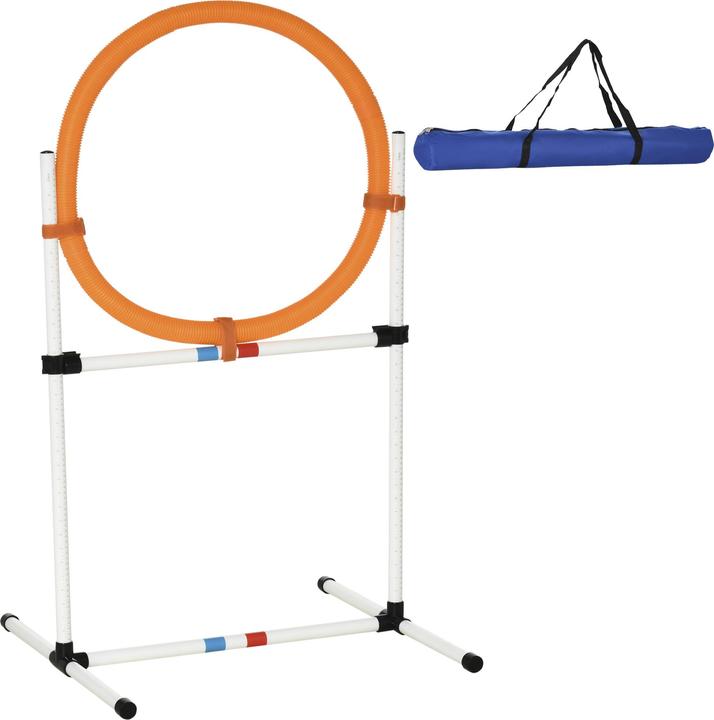 PawHut Hundetrainingsset mit Springring (Agility)