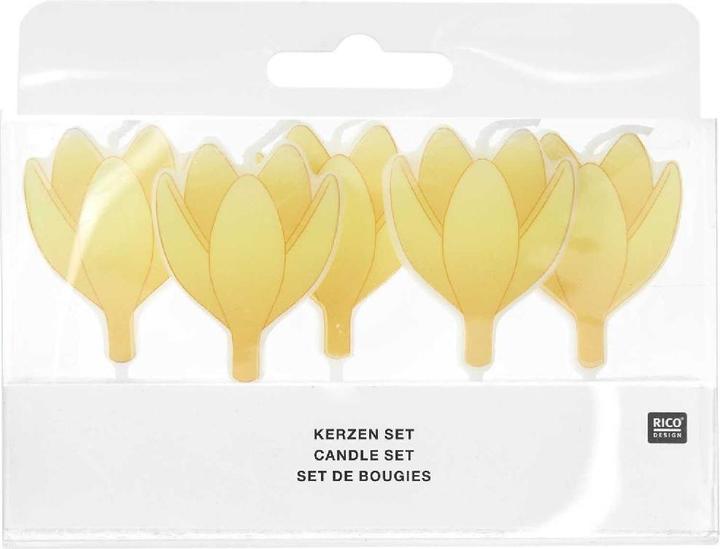 Produktbild Rico Design Kerzen Krokus, 5 Stk.400685 (5 Stk.)