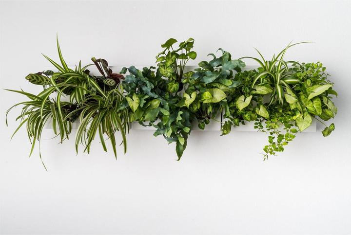 Actual product image Ortisgreen Vertical garden Smart