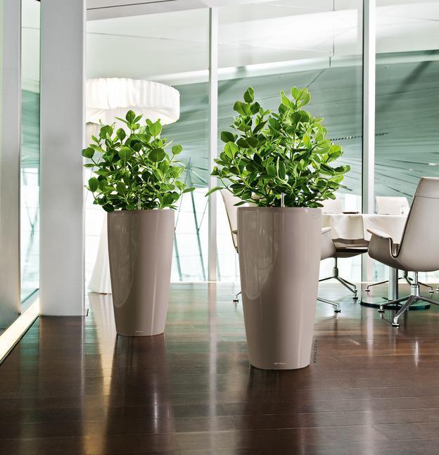 Actual product image Lechuza Planter Rondo Premium 40 (40 cm)