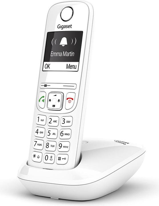 Actual product image Gigaset SIEMENS WIRELESS PHONE AS690 WHITE (S30852-H2816-D202)