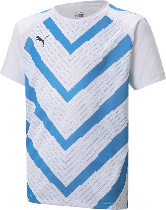 Produktbild Puma teamLIGA Graphic Jersey Jr (116)