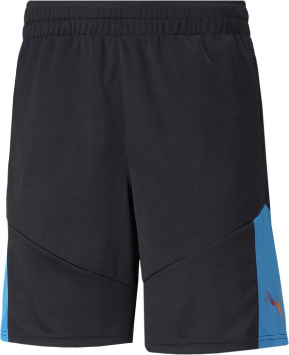 Puma individualFINAL Trg Shorts (S)