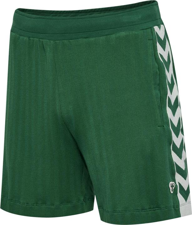 Actual product image hummel Hmlarchive Regular Shorts (S)