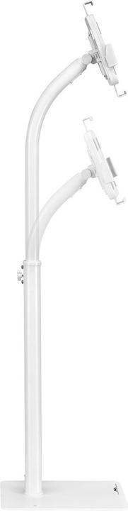 Image du produit Maclean Tablet advertising holder MC-467W