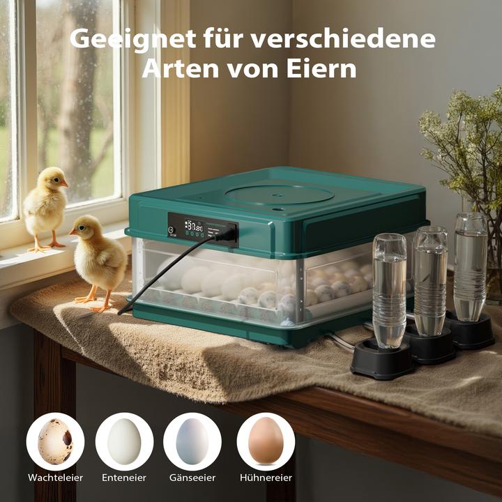 Produktbild Fudajo Vollautomatischer Flächenbrüter Brutmaschine 30 Eier Inkubator Hühner