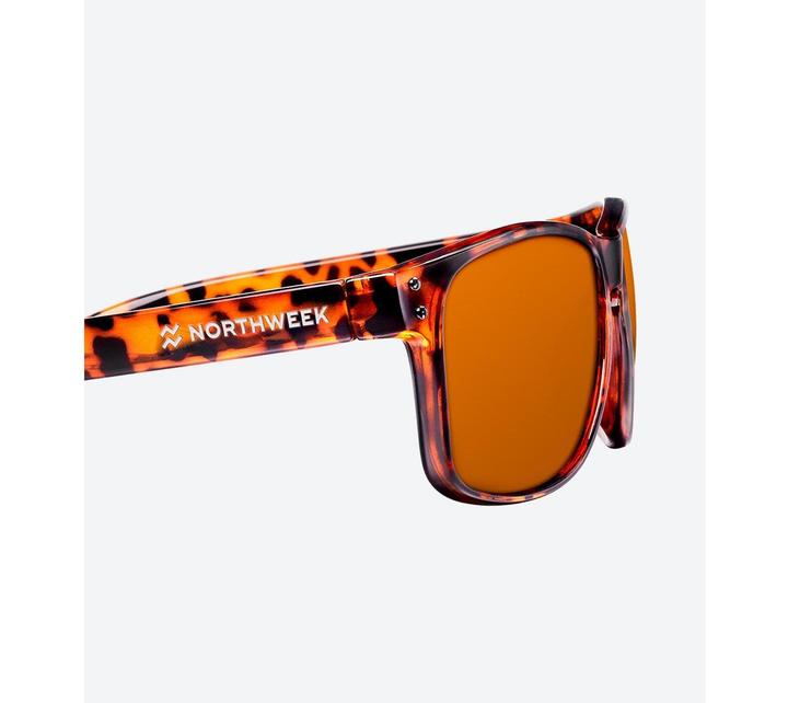 Actual product image Northweek Bold Tortoise