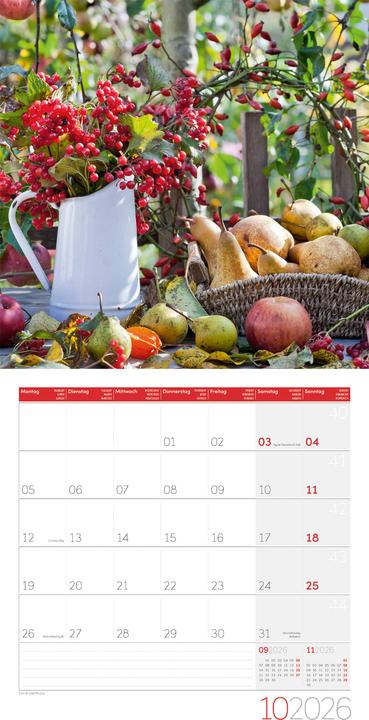 Produktbild In meinem Garten Kalender 2026 - 30x30 (30 x 30 cm, Harter Einband, Deutsch, Französisch, Englisch, Italienisch)