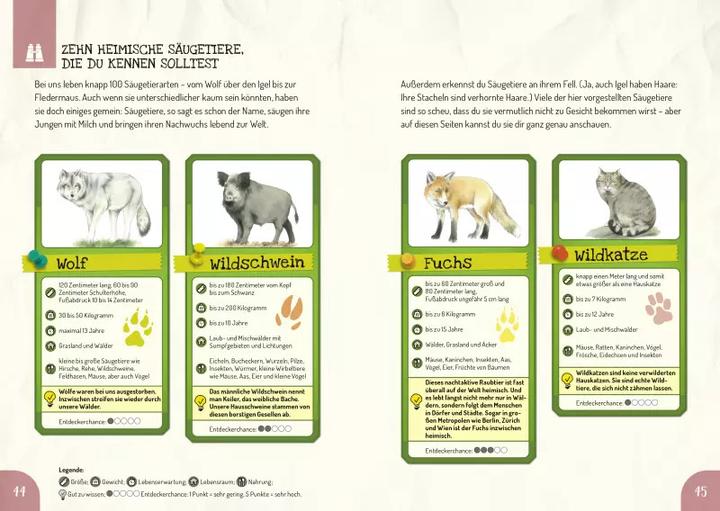 Produktbild Das Outdoor-Entdeckerhandbuch (Deutsch, Andrea Schwendemann, Ilonka Baberg, 2022)