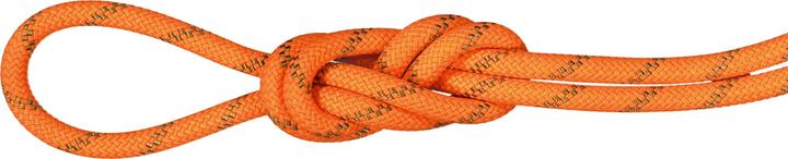 Mammut 8.0 Alpine Dry Rope 60m (60 m)