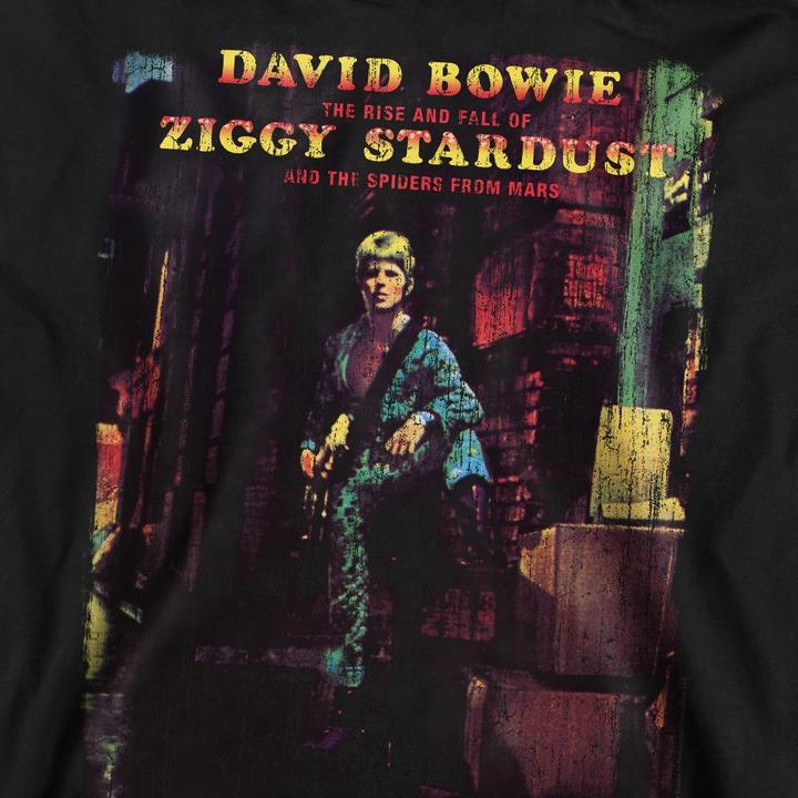 Immagine prodotto David Bowie Ziggy Stardust Album Felpa Adulto Unisex (M)