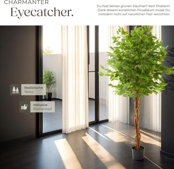 Immagine prodotto tectake Ficusbaum Fida (180 cm)