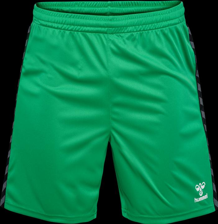 Actual product image hummel Hmlauthentic Pl Shorts (XL)
