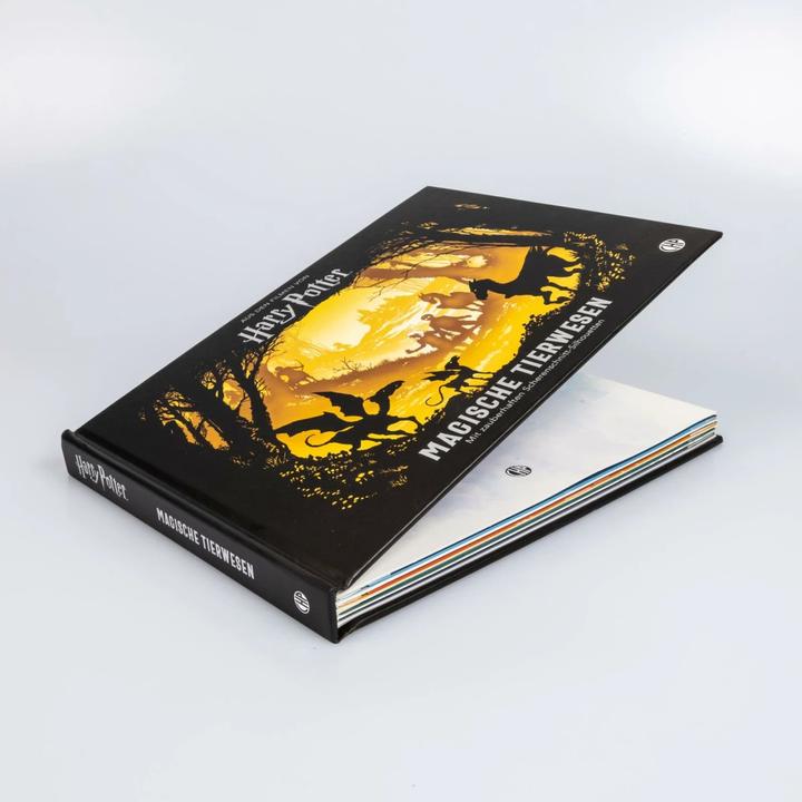 Actual product image Harry Potter - Magische Tierwesen (German, Warner Bros. Consumer Products GmbH, 2022)