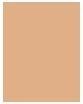 Image du produit Clarins Poudre Compacte Evermatte No 04 (04 Moyenne)