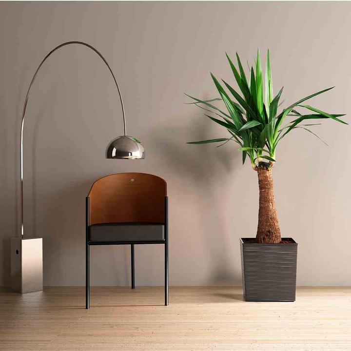 Produktbild Siena Garden Modern (30 cm)