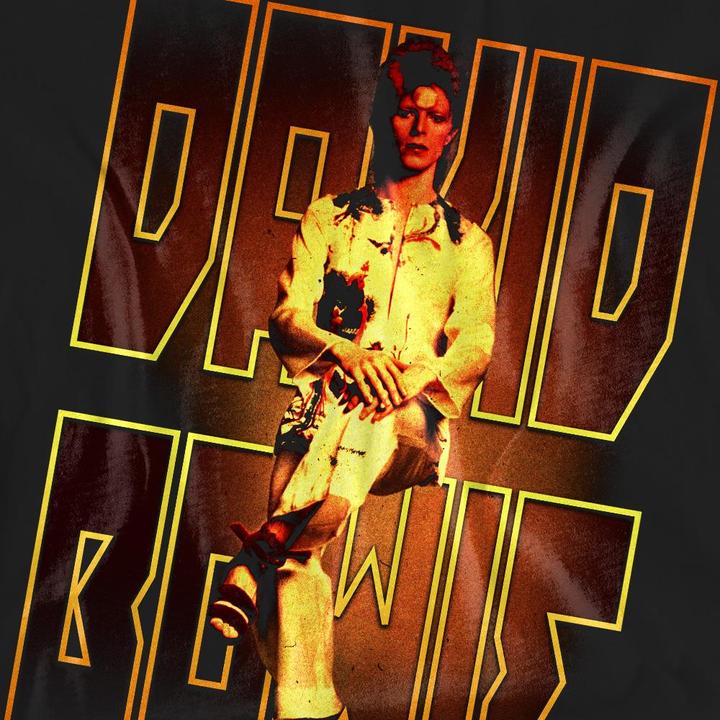 Produktbild David Bowie Perched TShirt (XXL)