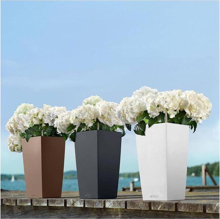 Actual product image Lechuza Classico Color (27.50 cm)
