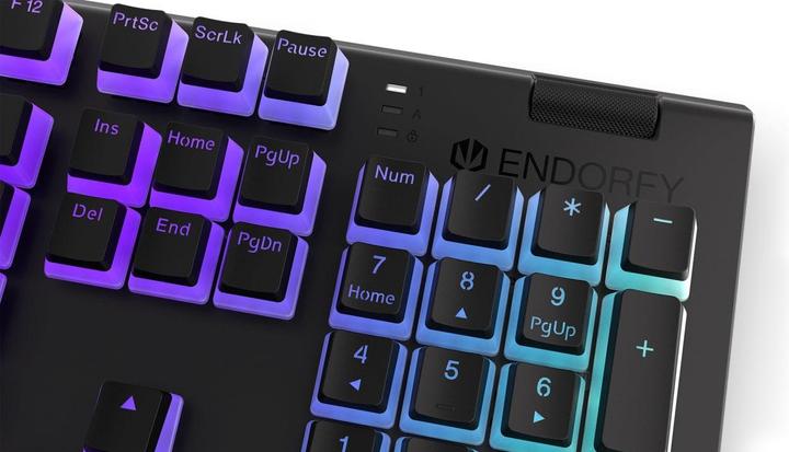 Actual product image Endorfy Omnis keyboard USB QWERTY Black (Eng. Int., Cable)