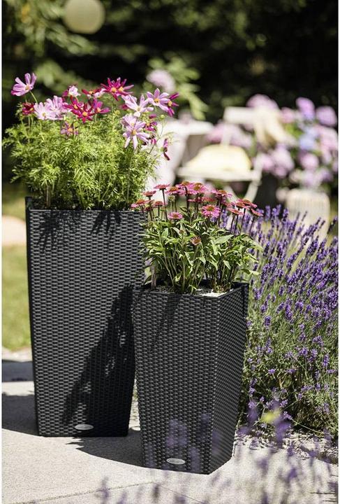 Actual product image Lechuza Cubico Cottage (29.50 cm)