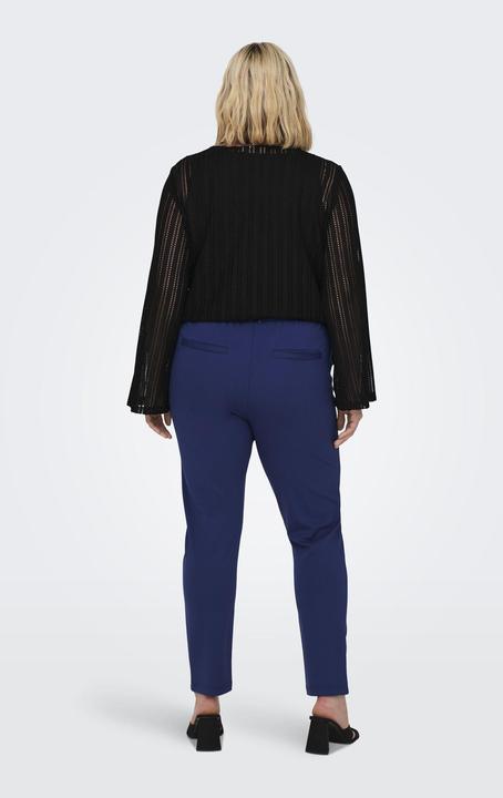 Actual product image Only Curvy Plain Trousers (42)