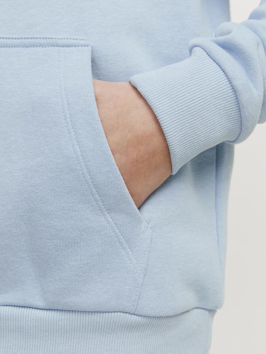 Actual product image Jack & Jones Jjecaleb Varsity Sweat Hood Noos Jnr (128)