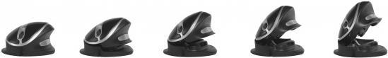 Actual product image Bakker Elkhuizen Oyster (Wireless)