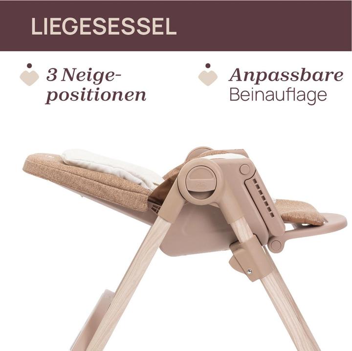 Productafbeelding Chicco Polly Armonia (Kinderstoel)